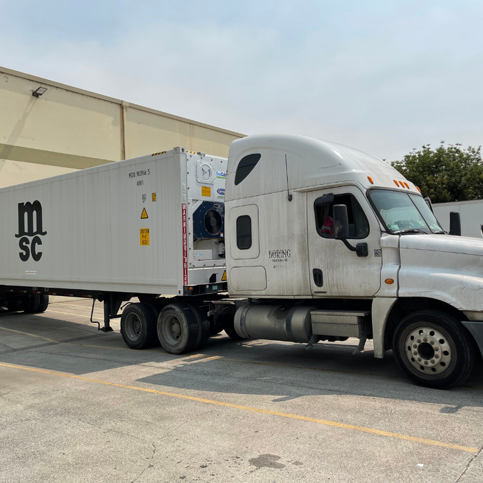 day cab truck air bed